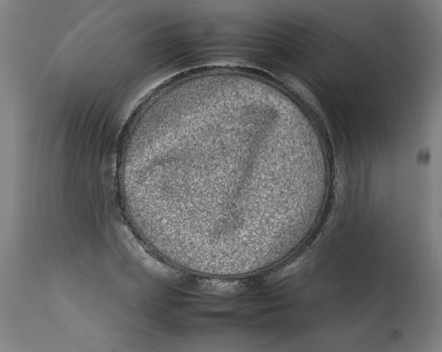 X0000112790831200909181512