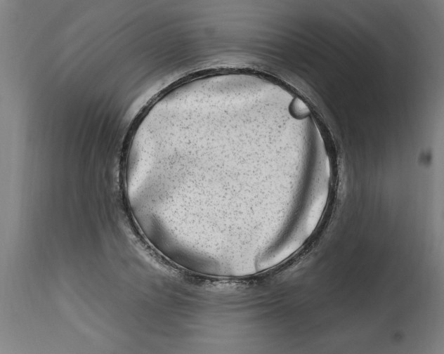 X0000112790834200909181512