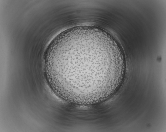 X0000112790835200909181512