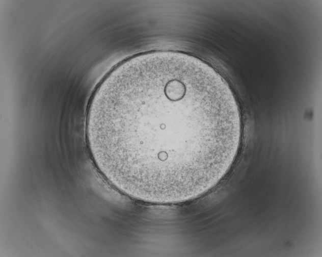 X0000112790836200909181512