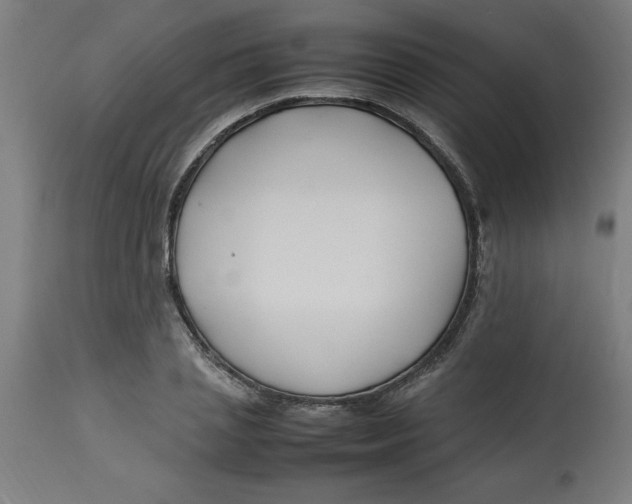 X0000112790837200909181512