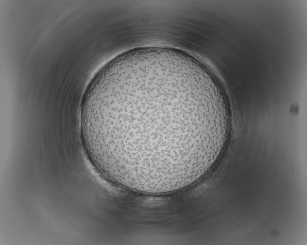 X0000112790839200909181512