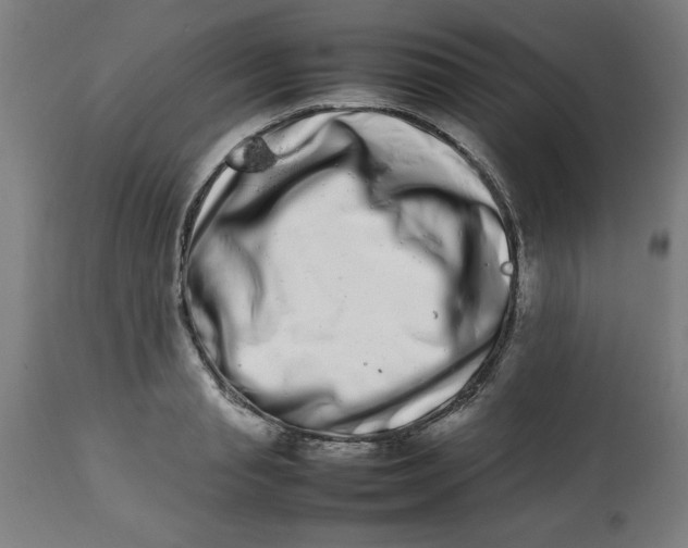 X0000112790845200909181512