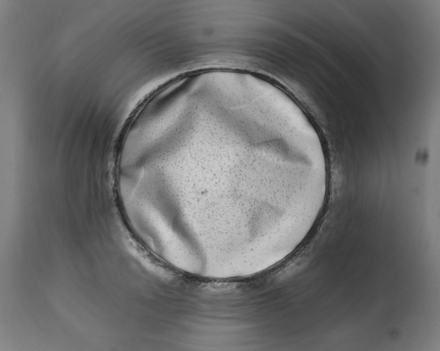 X0000112790846200909181512