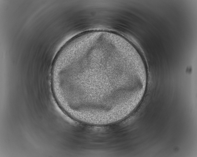 X0000112790847200909181512