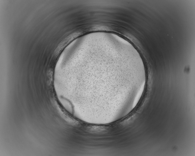 X0000112790849200909181512