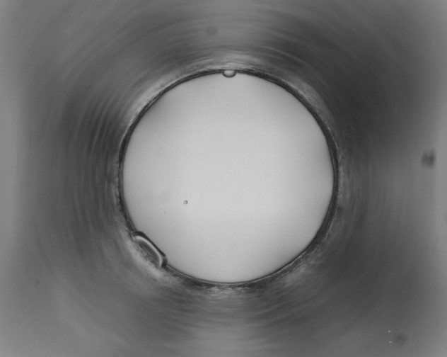 X0000112790850200909181512