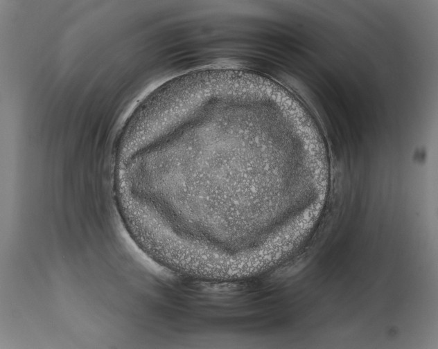 X0000112790851200909181512