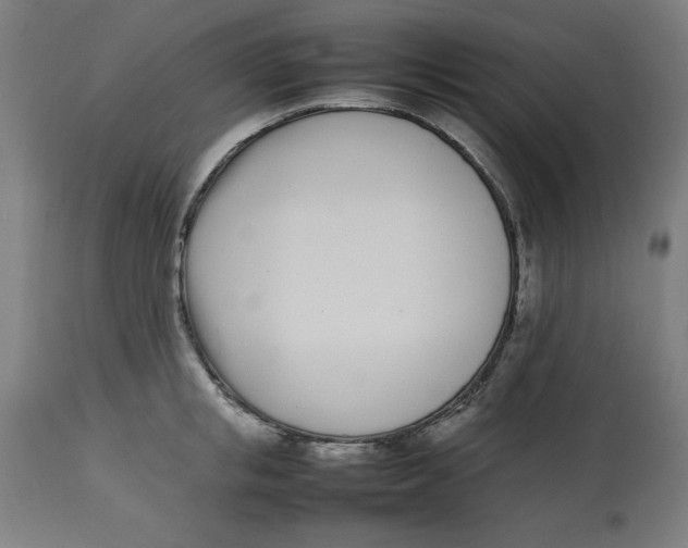 X0000112790853200909181512