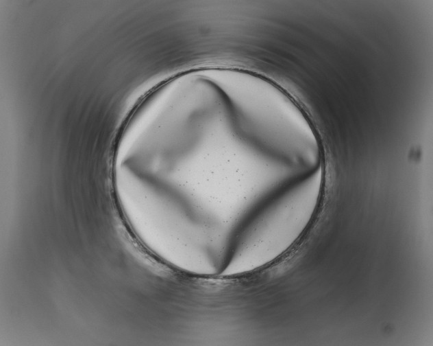 X0000112790854200909181512