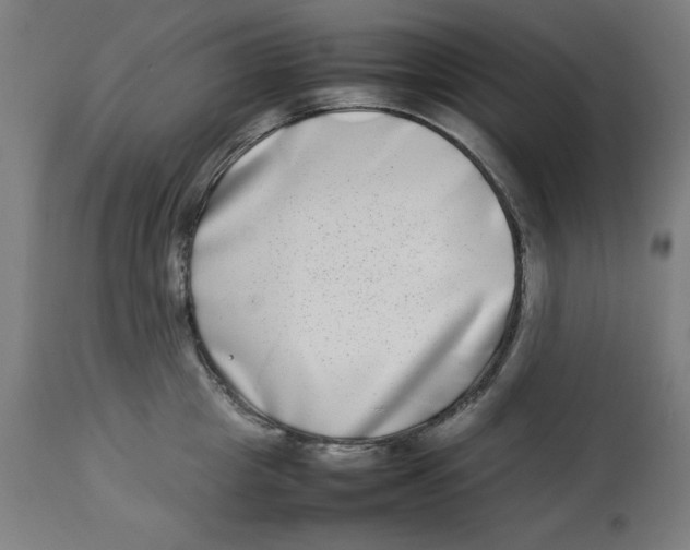 X0000112790857200909181512