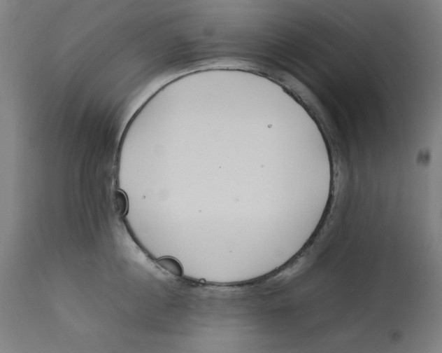 X0000112790860200909181512