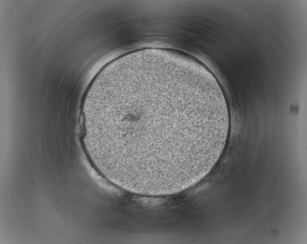 X0000112790861200909181512