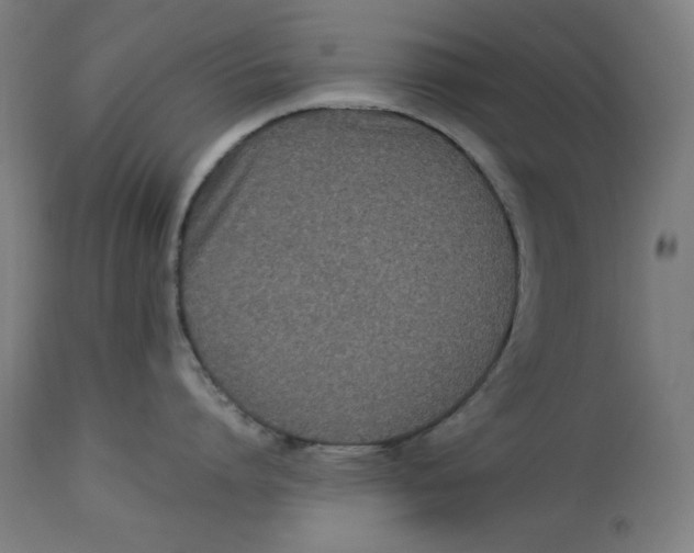 X0000112790864200909181512