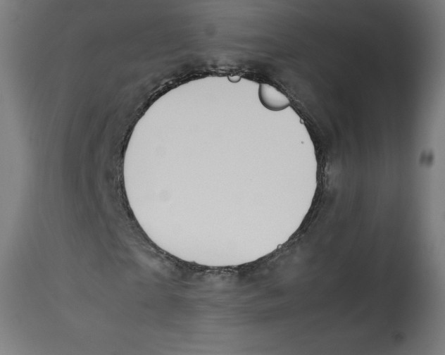 X0000112790865200909181511