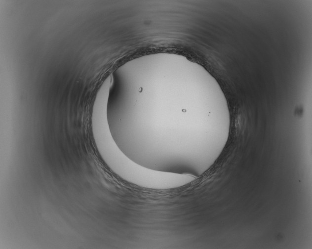 X0000112790868200909181511