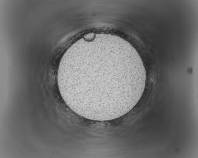 X0000112790869200909181511