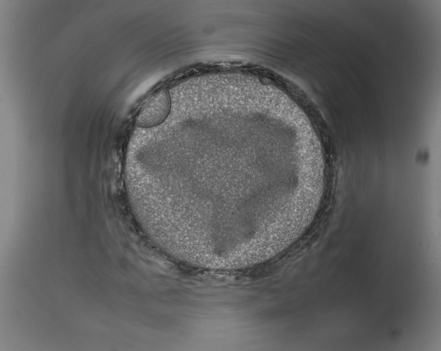 X0000112790871200909181511