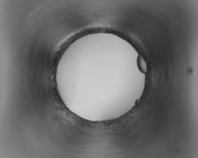 X0000112790872200909181511