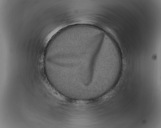 X0000112790875200909181511