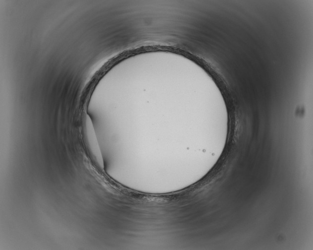 X0000112790878200909181511