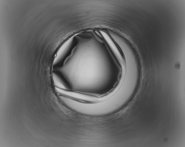 X0000112790881200909181511