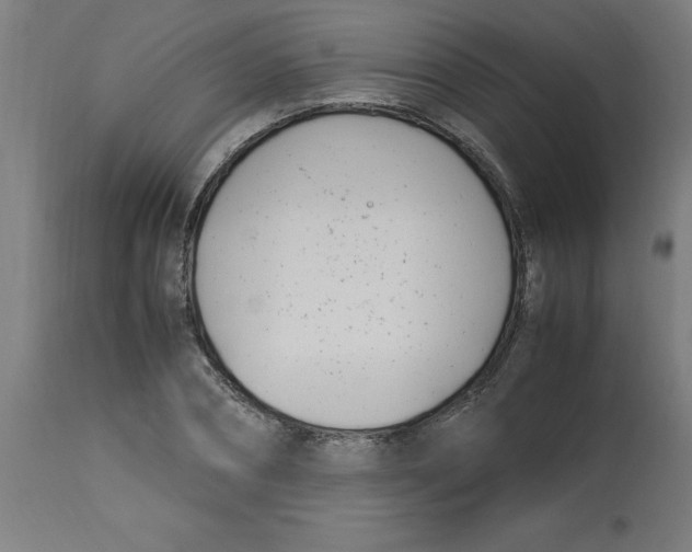 X0000112790882200909181511