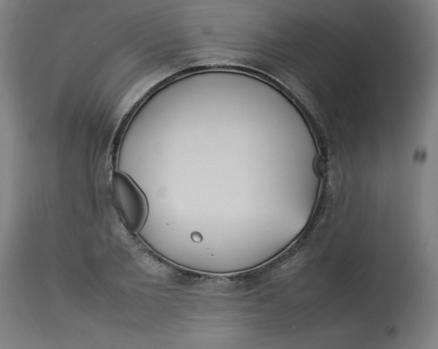 X0000112790885200909181511