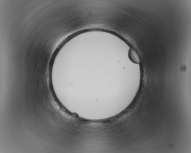 X0000112790888200909181511