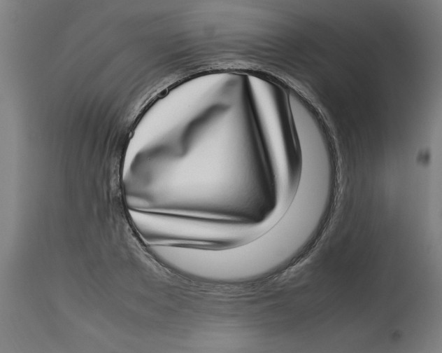 X0000112790889200909181511