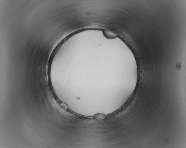 X0000112790892200909181511