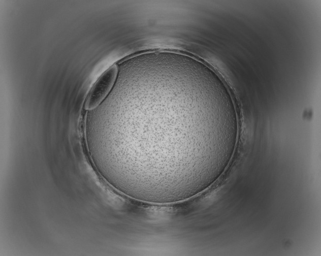 X0000112790893200909181511