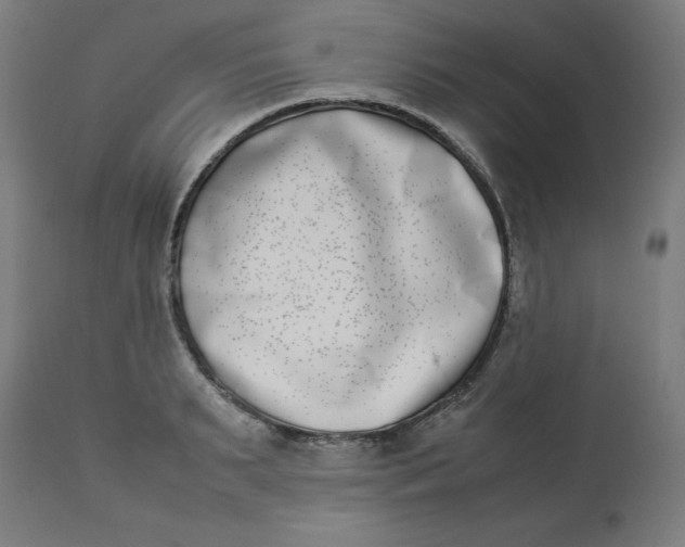 X0000112790895200909181511