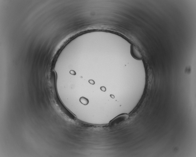 X0000112790896200909181511