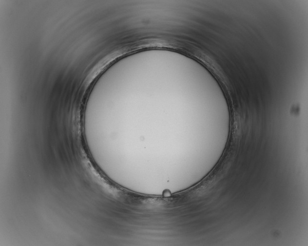 X0000112790898200909181511