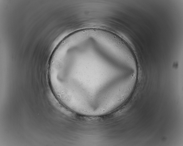 X0000112790899200909181511