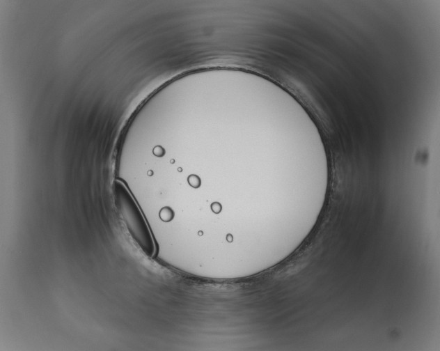 X0000112790900200909181511