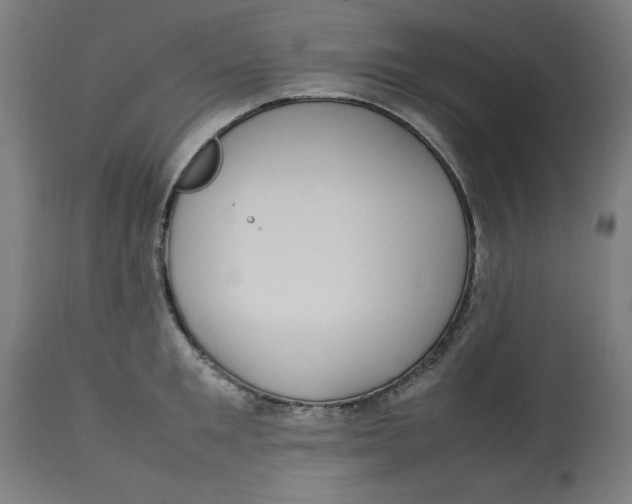 X0000112790901200909181511