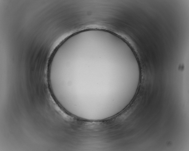 X0000112790902200909181511