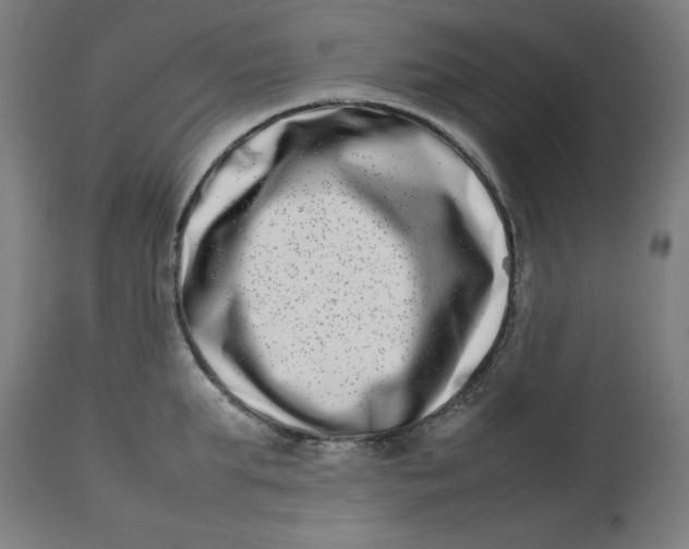 X0000112790903200909181511