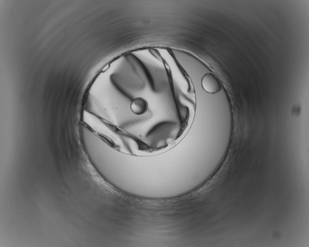 X0000112790904200909181511