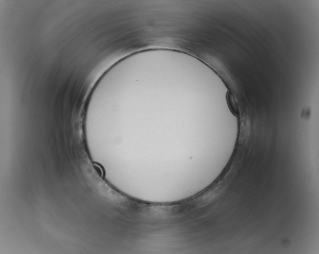 X0000112790908200909181511