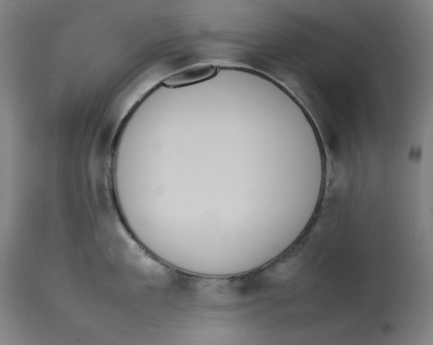 X0000112790909200909181511