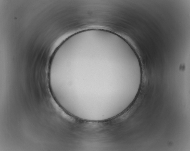 X0000112790910200909181511