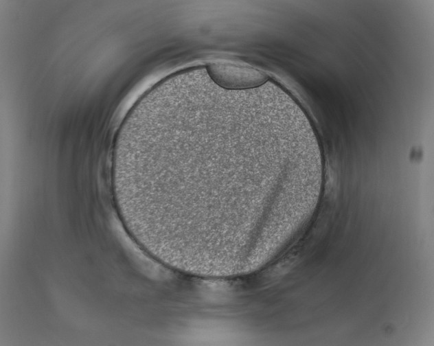 X0000112790911200909181511