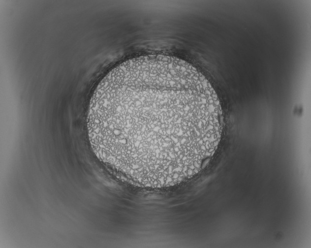 X0000112790913200909181510