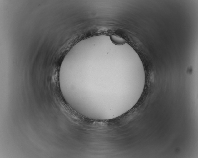 X0000112790914200909181510