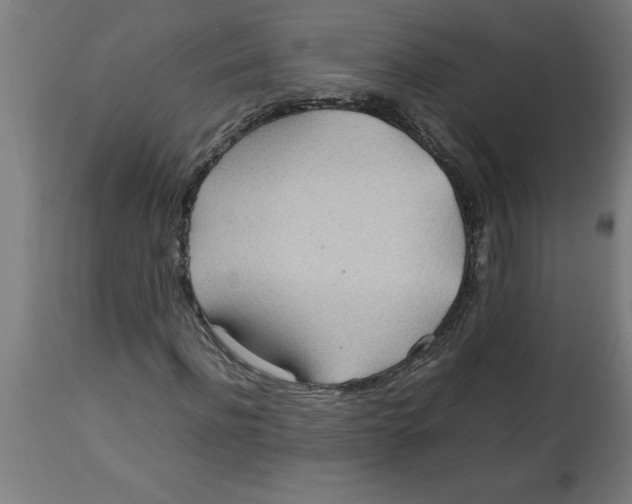 X0000112790916200909181510