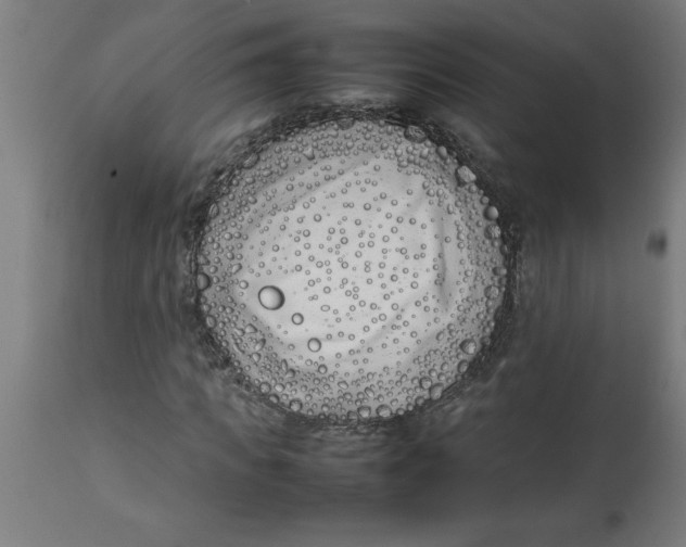 X0000112790917200909181510