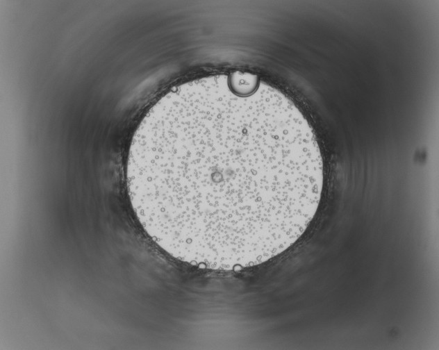 X0000112790918200909181510